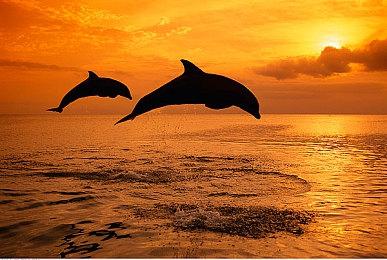 2023最期待的重制版游戏：《生化4》《死亡空间》《FF7》