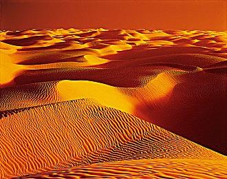 漫画风格免费FPS《Spectre Divide》2月25日登陆主机