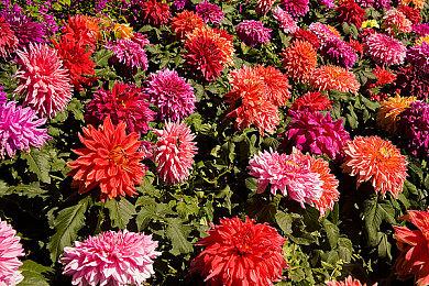 PS5、NS试玩版公开！《旧日飞车》正式版年底登陆多平台