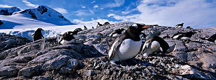 《死亡岛2》3月2日23点公开实机演示 一场杀戮将临